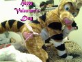 1266115280.fuzzyroo_picture_35.jpg